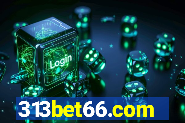 313bet66.com