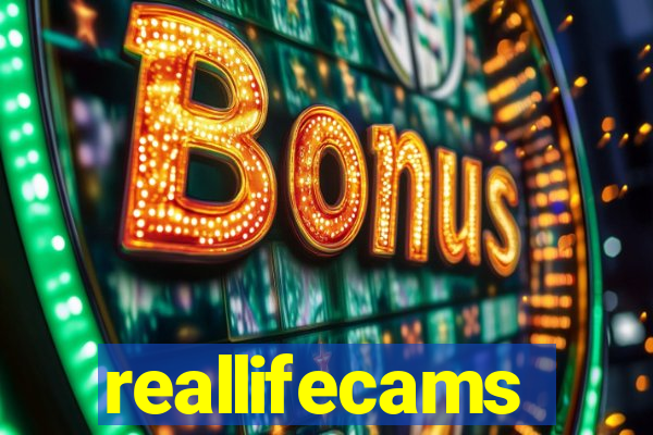 reallifecams