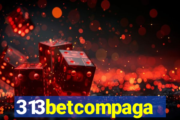 313betcompaga