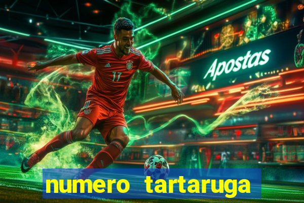 numero tartaruga jogo do bicho