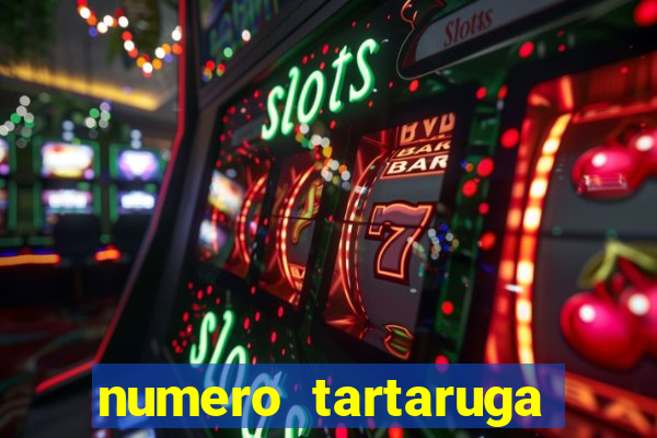 numero tartaruga jogo do bicho