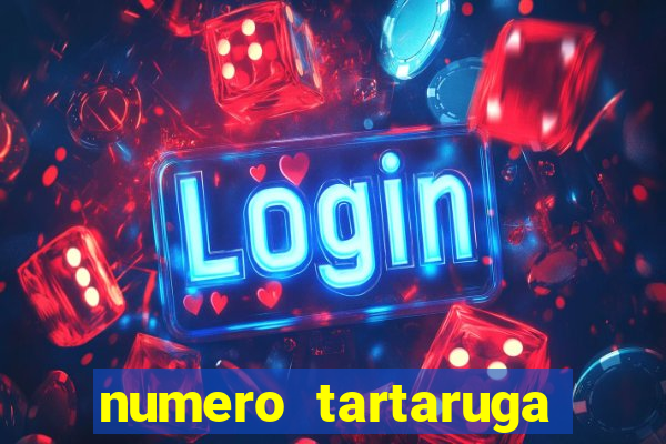 numero tartaruga jogo do bicho