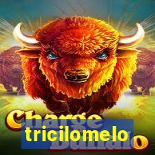 tricilomelo brincadeira letra