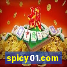 spicy01.com