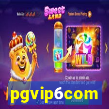 pgvip6com