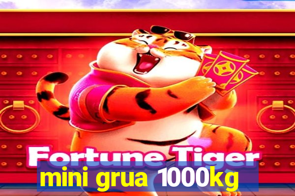 mini grua 1000kg