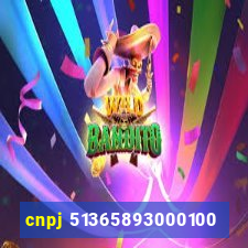 cnpj 51365893000100