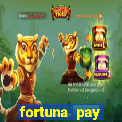 fortuna pay consultoria financeira ltda