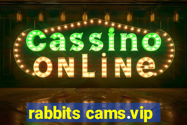 rabbits cams.vip