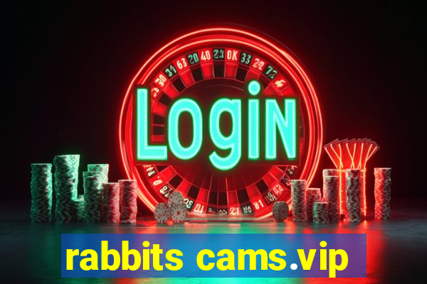 rabbits cams.vip