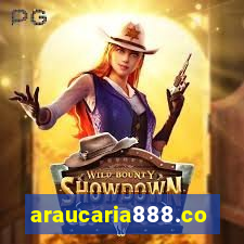 araucaria888.com