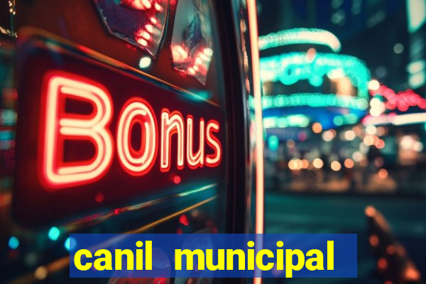 canil municipal porto alegre