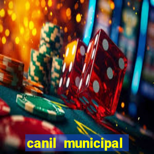 canil municipal porto alegre