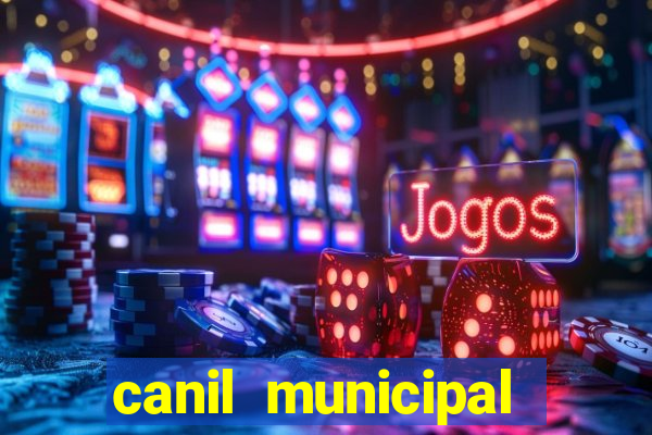 canil municipal porto alegre