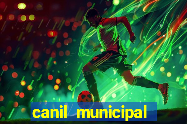 canil municipal porto alegre