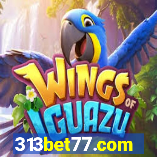 313bet77.com