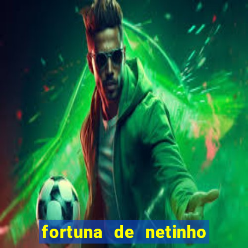 fortuna de netinho de paula