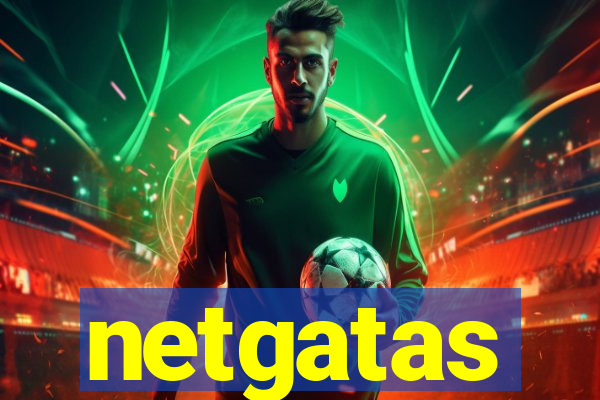 netgatas