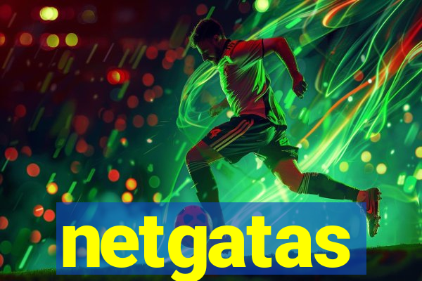 netgatas