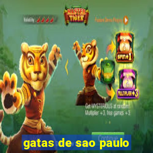 gatas de sao paulo