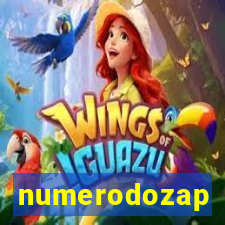 numerodozap