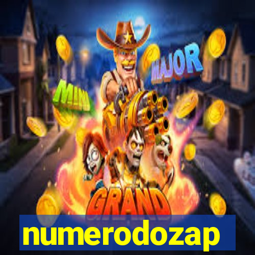 numerodozap