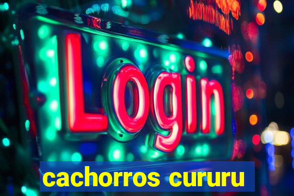 cachorros cururu