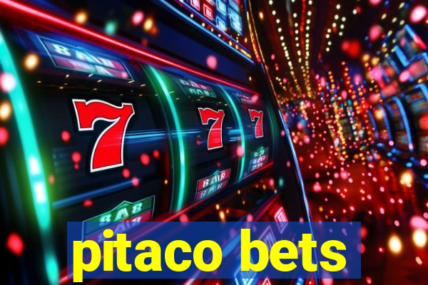 pitaco bets