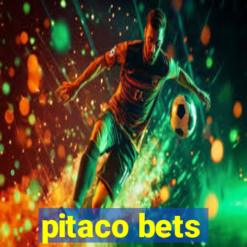 pitaco bets