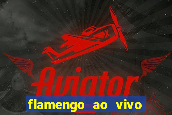 flamengo ao vivo multi tv