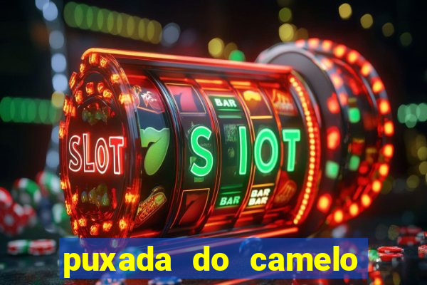 puxada do camelo jogo do bicho