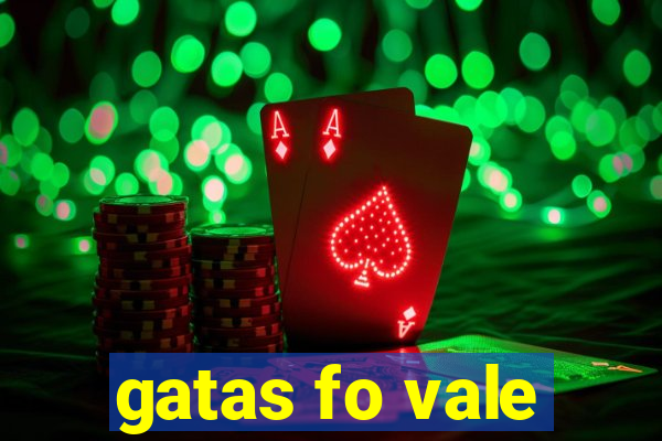 gatas fo vale