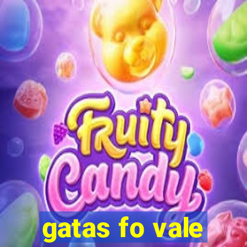 gatas fo vale