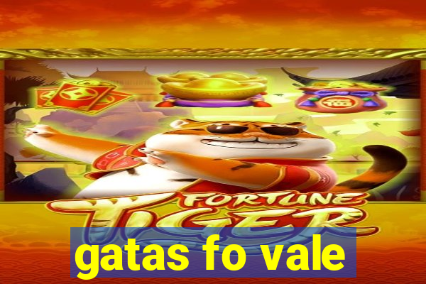 gatas fo vale