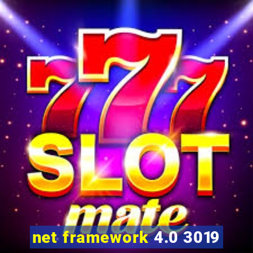 net framework 4.0 3019