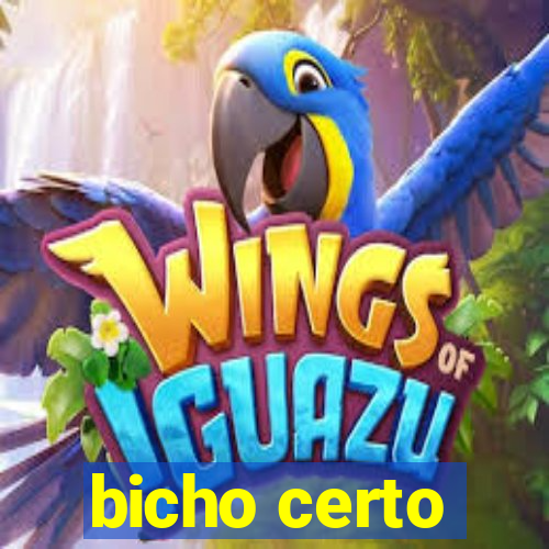 bicho certo