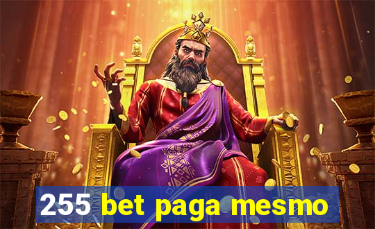 255 bet paga mesmo