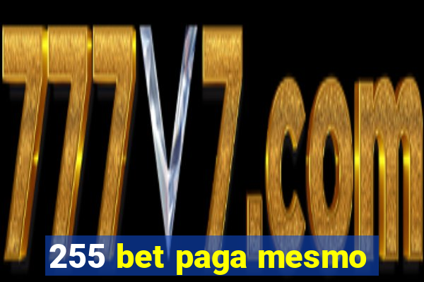 255 bet paga mesmo