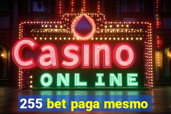 255 bet paga mesmo