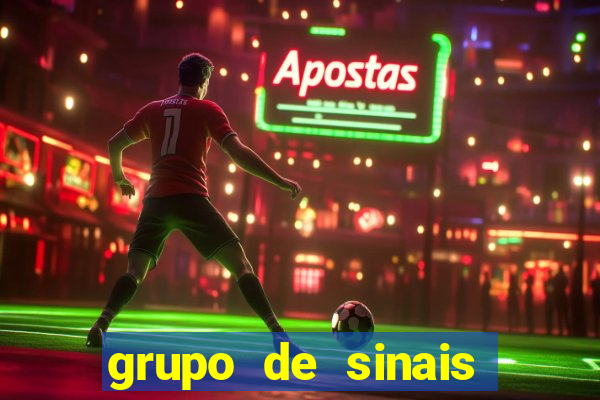 grupo de sinais trader telegram