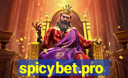 spicybet.pro