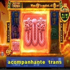 acompanhante trans de santos