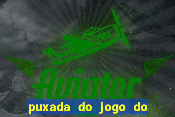 puxada do jogo do bicho da sueli