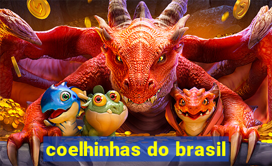 coelhinhas do brasil