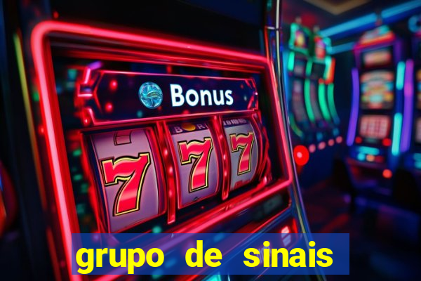 grupo de sinais fortune rabbit