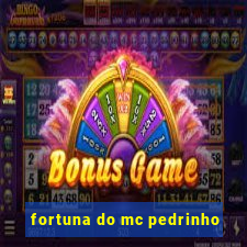 fortuna do mc pedrinho