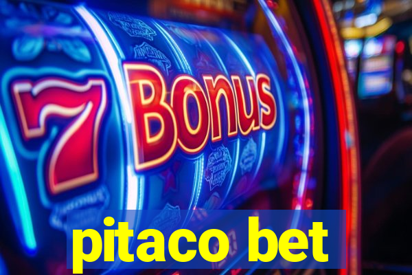 pitaco bet