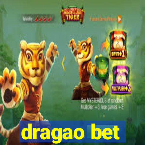 dragao bet