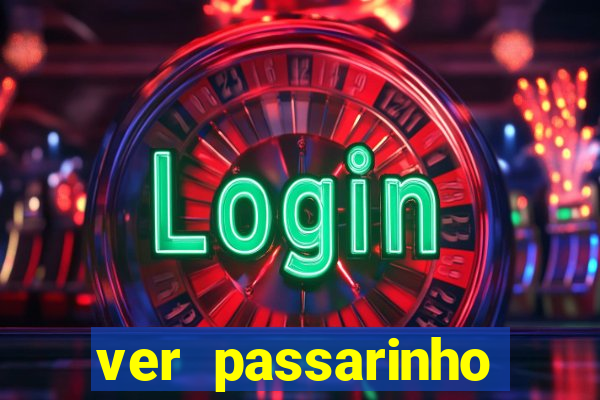 ver passarinho morto significado