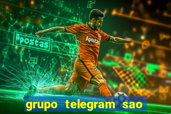 grupo telegram sao jose do rio preto